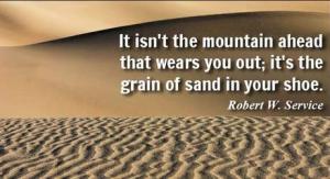 Sometimes it's the grain of sand in your shoe